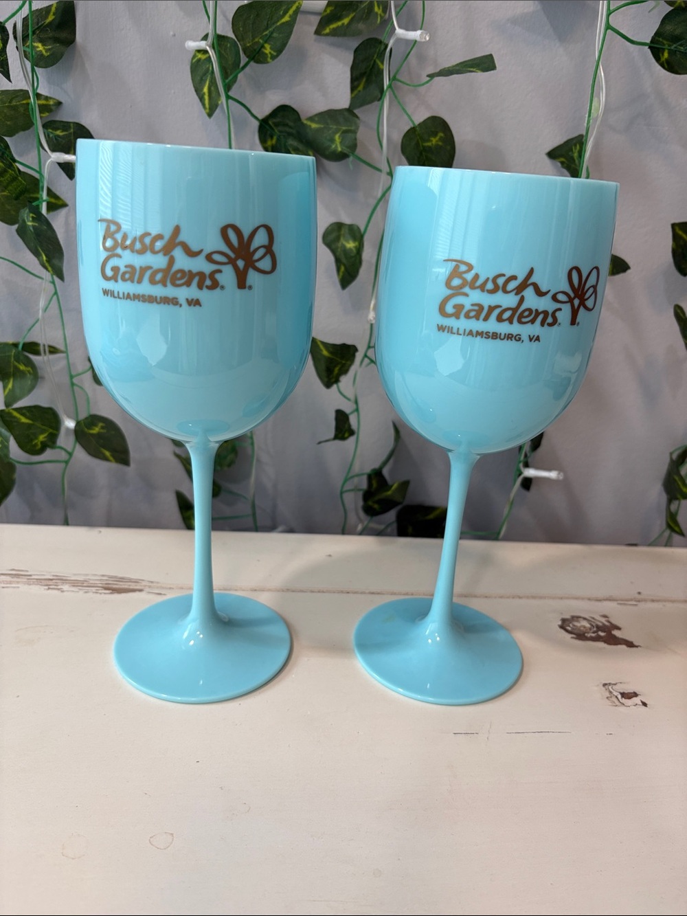 Busch Gardens Williamsburg Plastic Wine Glass - Set of 2